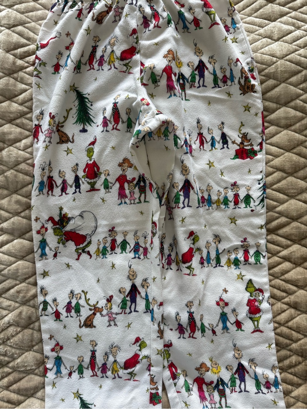 Pottery Barn Kids Dr. Seuss The Grinch Adult Flannel Pajama Set Size S Unisex - Picture 12 of 15